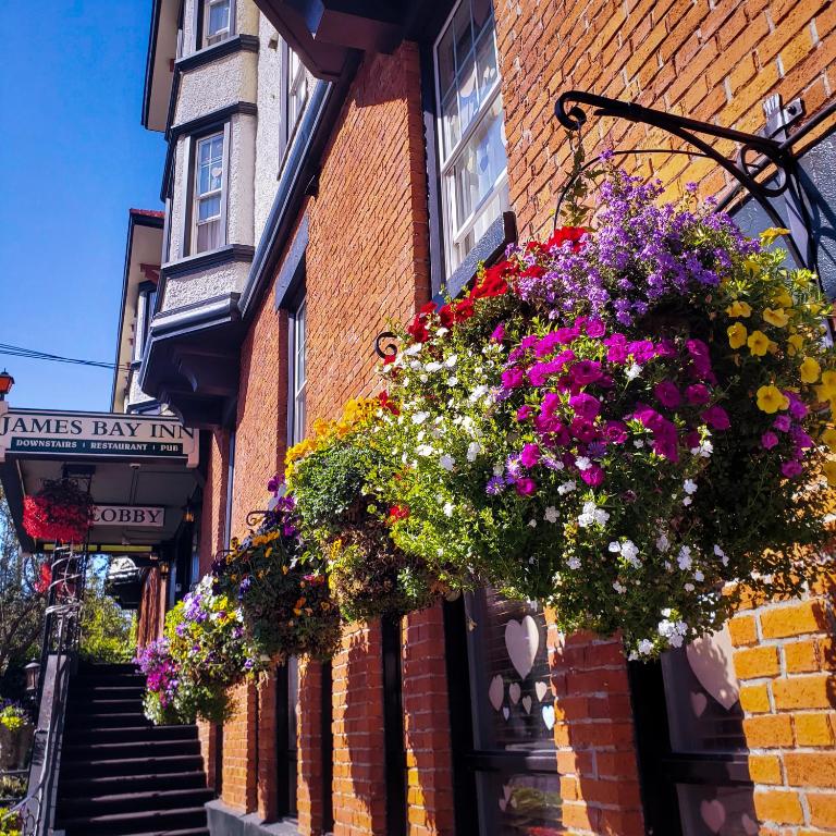 James Bay Inn Hotel, Suites & Cottage - Resim 44