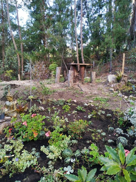 Zahrada ubytování Glamping Los Ángeles