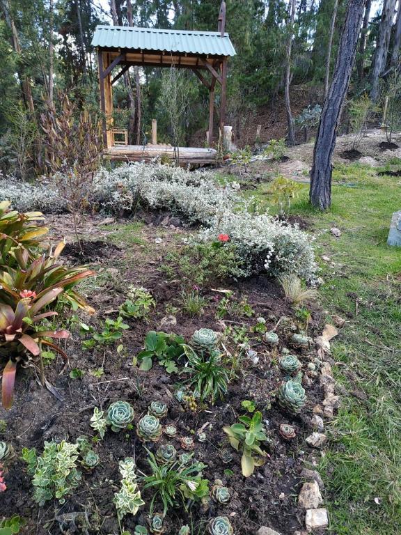 Zahrada ubytování Glamping Los Ángeles