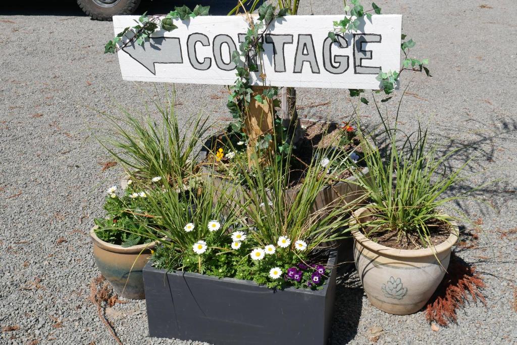 Havelock Cottage on St Georges - Resim 13