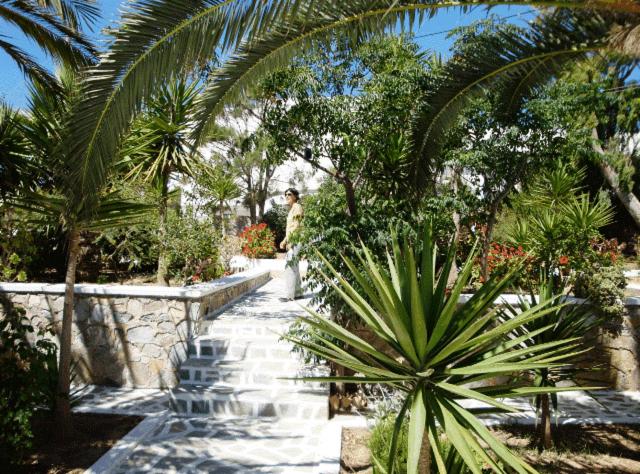 Villa Maria Vekri - 8