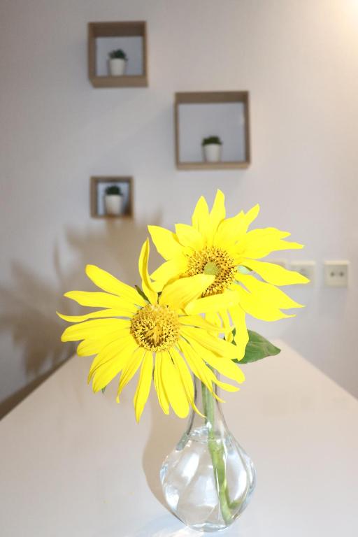Fotografie z fotogalerie ubytování Baou House v destinaci Metsovo
