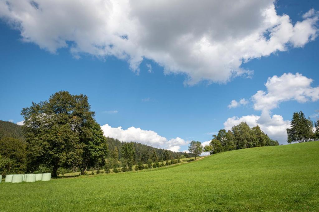 Příroda nedaleko apartmánu