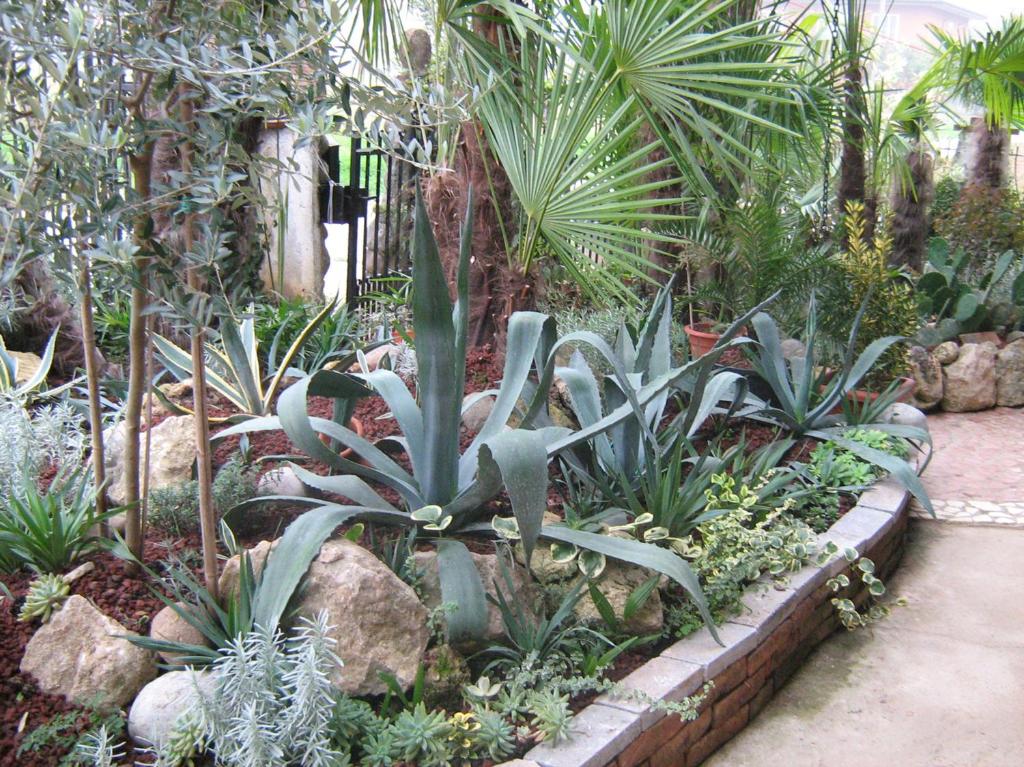 Zahrada ubytování B&B Le Palme d'Oro