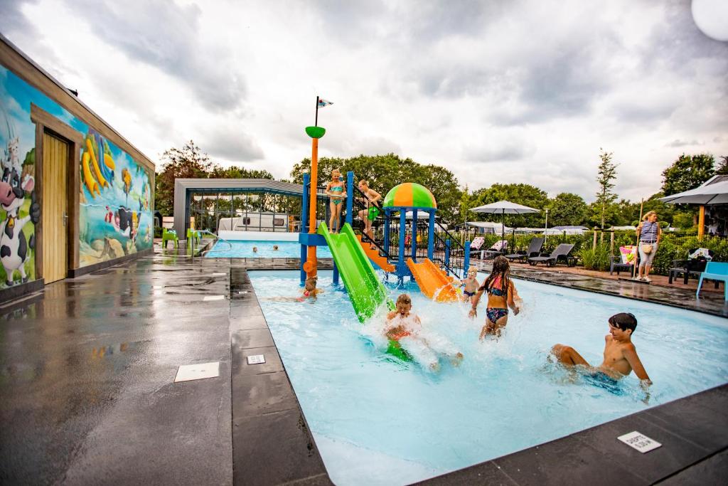 un grupo de niños jugando en una piscina en Vakantiepark de Witte Berg, en Ootmarsum