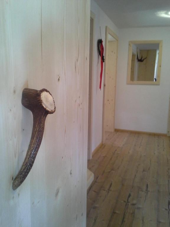Fotografie z fotogalerie ubytování Haus Elfriede v destinaci Schwendau