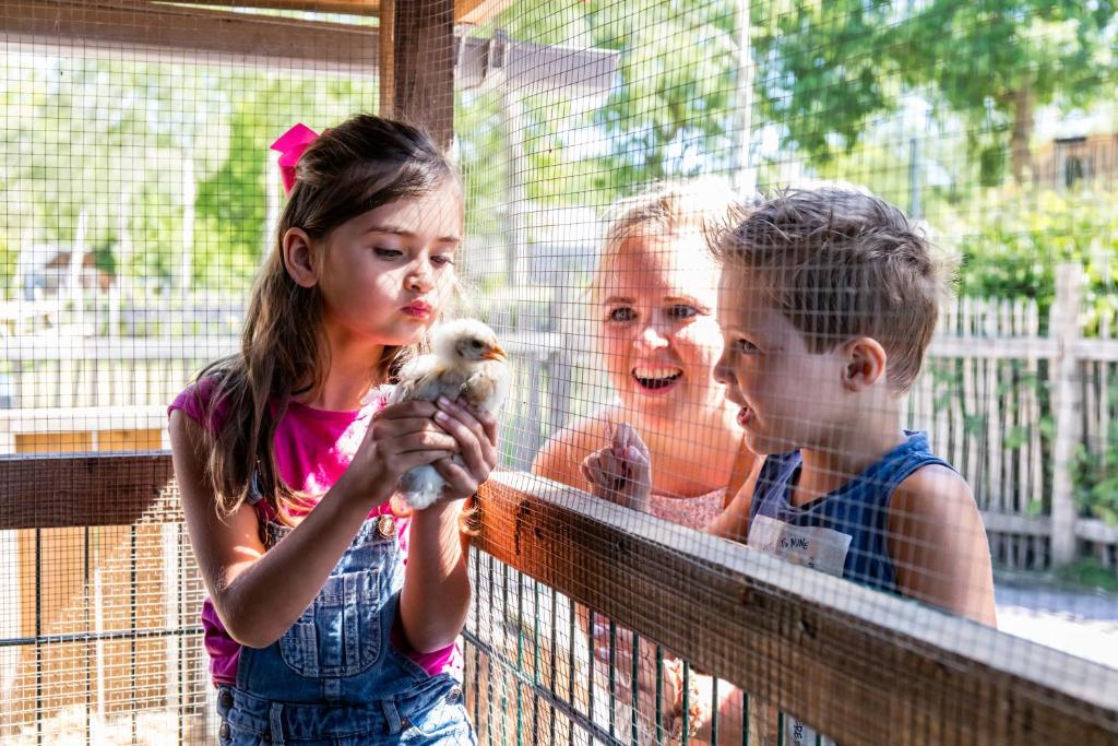 a young girl holding a bird in a zoo at Europarcs Zuiderzee in Biddinghuizen