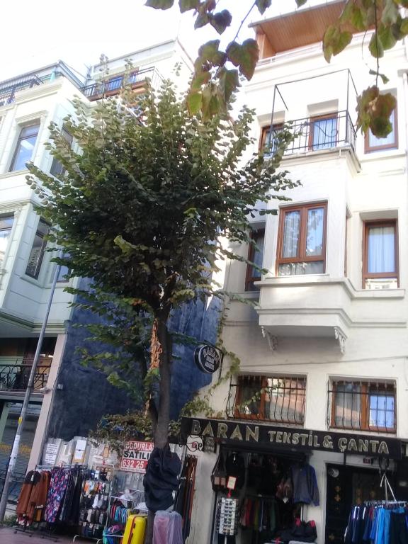 Baran Home Aparts - Standard Double Room