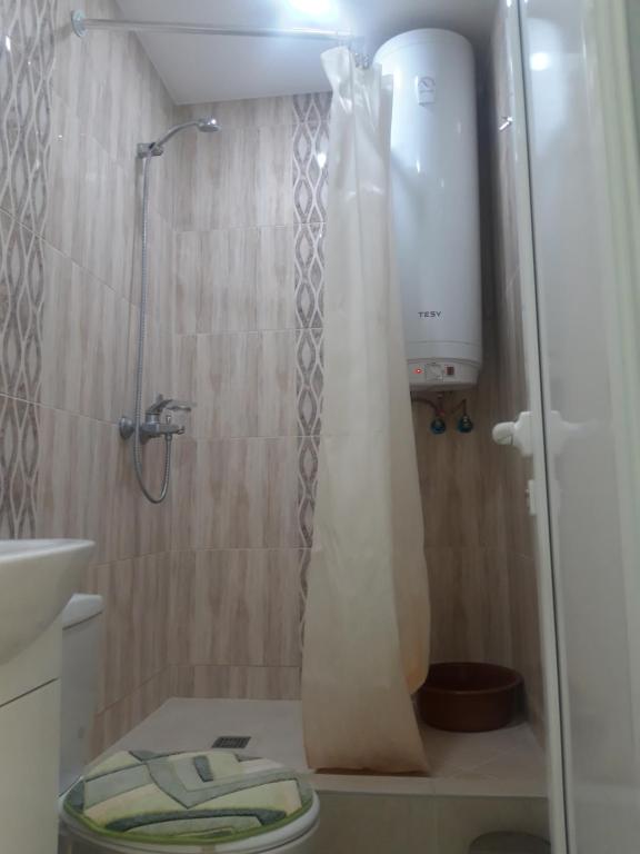 Koupelna v ubytování Central Apartment
