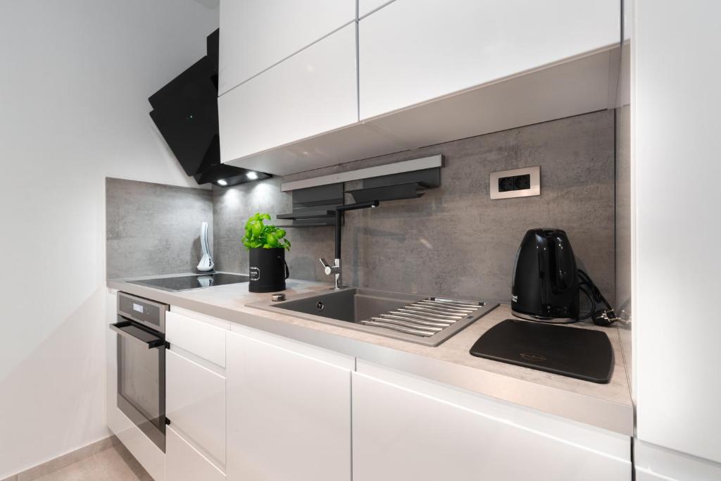 Kuchyňa alebo kuchynka v ubytovaní WISH Apartments