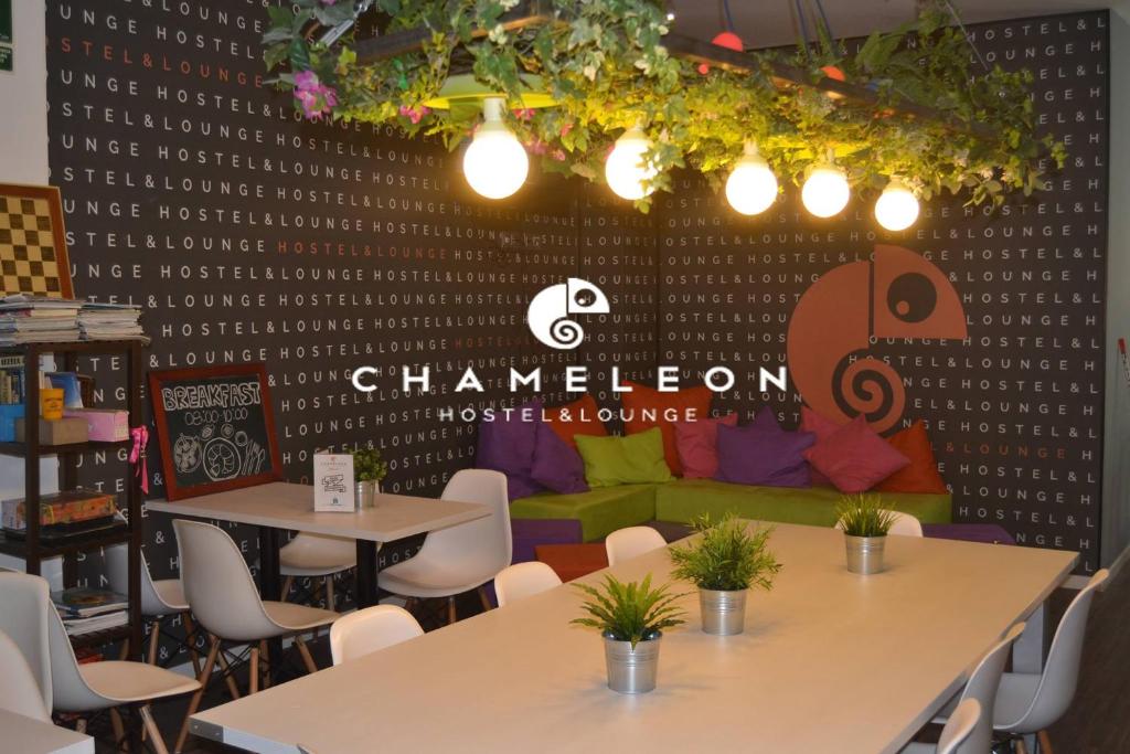Chameleon Youth Hostel Alicante, Alicante – Bijgewerkte ...