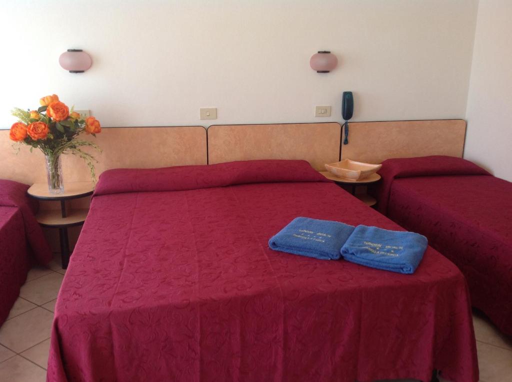 Postel nebo postele na pokoji v ubytování Hotel Casali