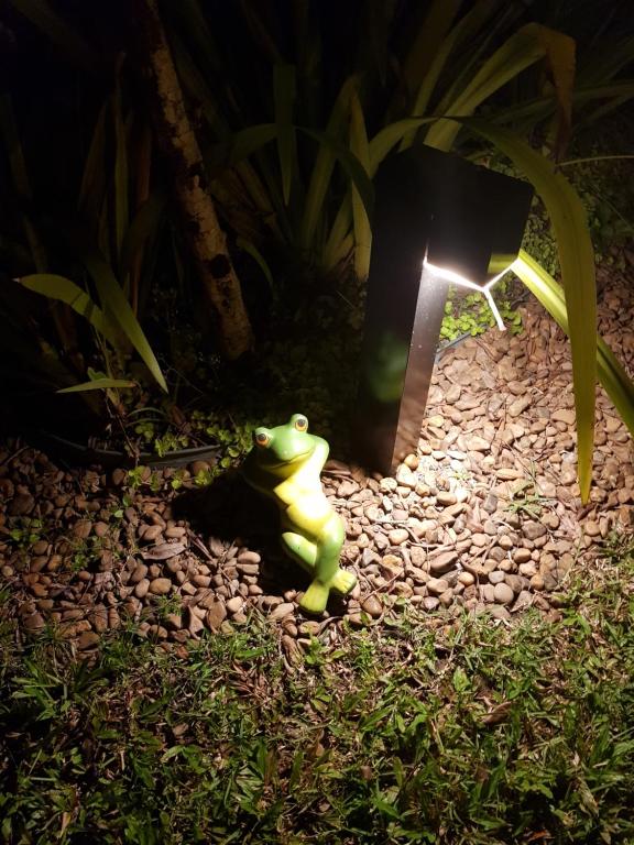 a frog toy sitting on the ground next to a light at Linda Casa em Juquehy in Juquei