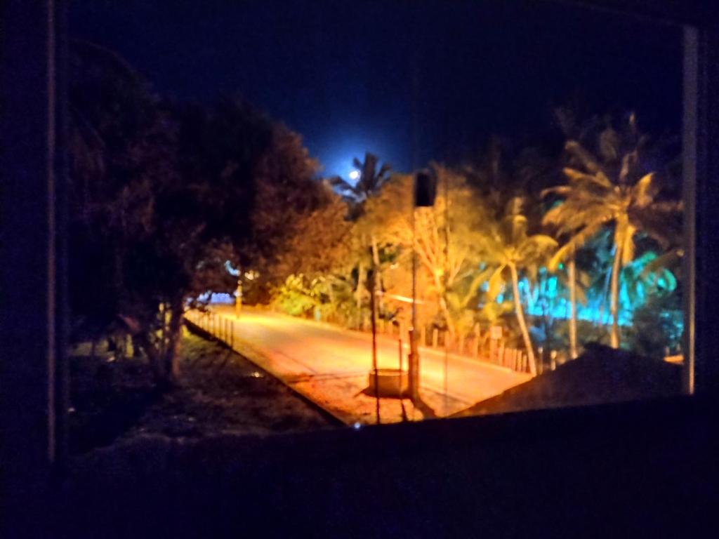  O Paraíso é Aqui.