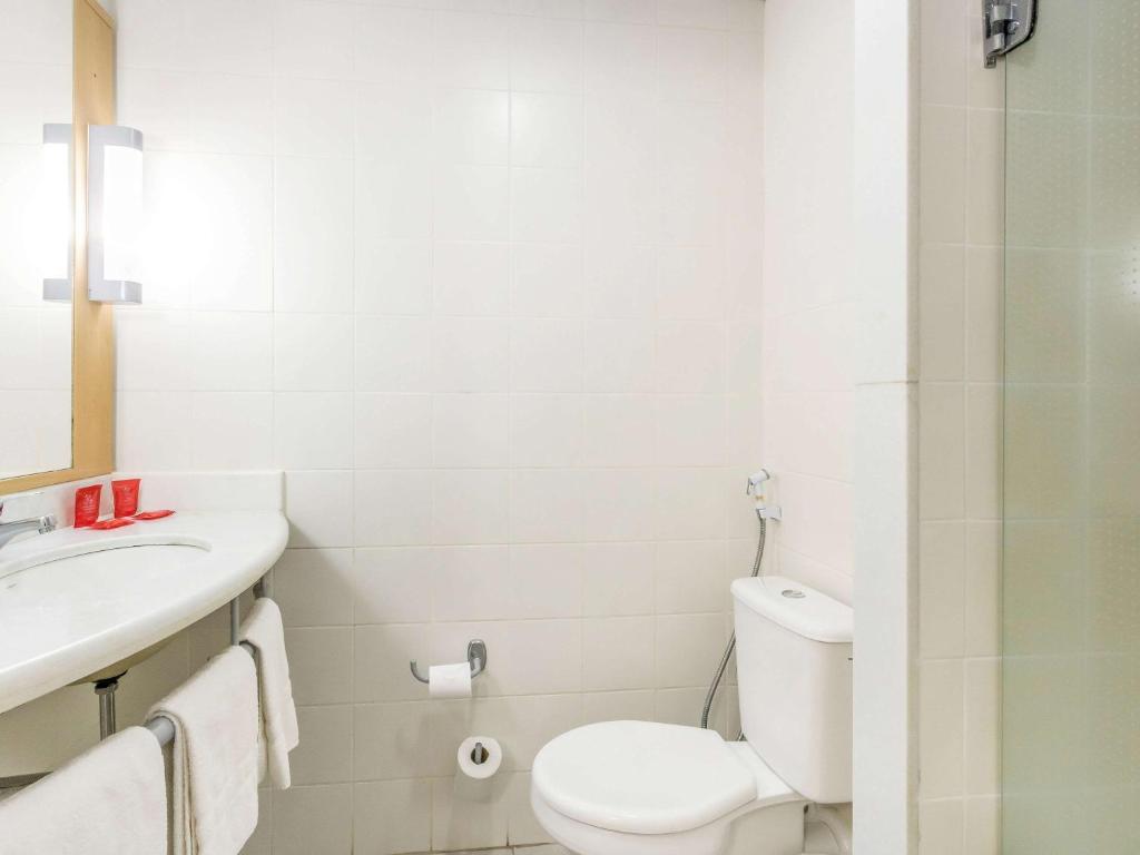  ibis Barretos