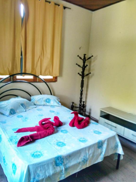  Hospedaria Casa da Palmeira