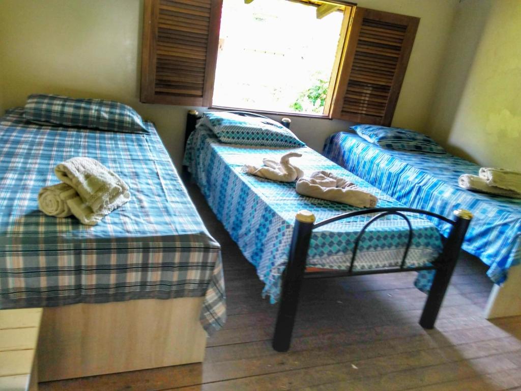  Hospedaria Casa da Palmeira