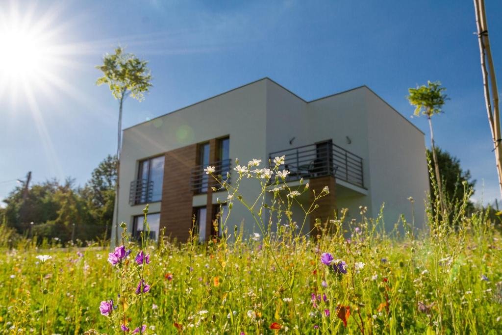 une maison au milieu d'un champ de fleurs dans l'établissement Trzy Małe Drzewka, à Wielka Wieś