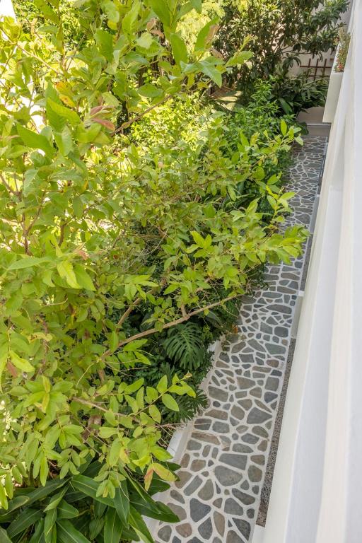 Zahrada ubytování Aris Boutique Hotel