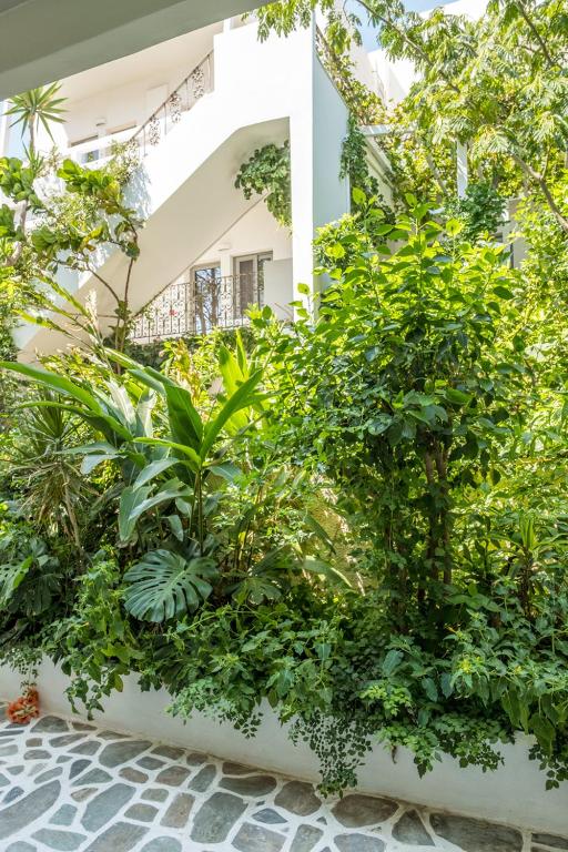Zahrada ubytování Aris Boutique Hotel