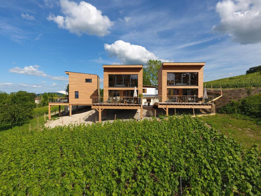 zwei Häuser auf einem Hügel mit einem grünen Feld in der Unterkunft COTTAGES ANTOINETTE in Chigny-les-Roses