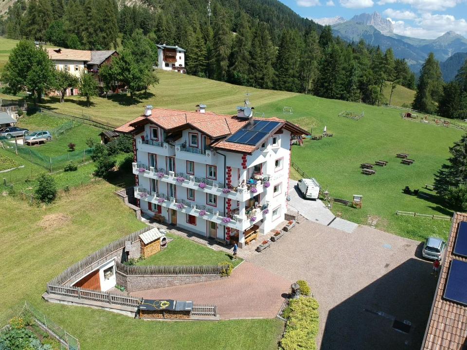 Φυσικό τοπίο κοντά σε αυτό το διαμέρισμα