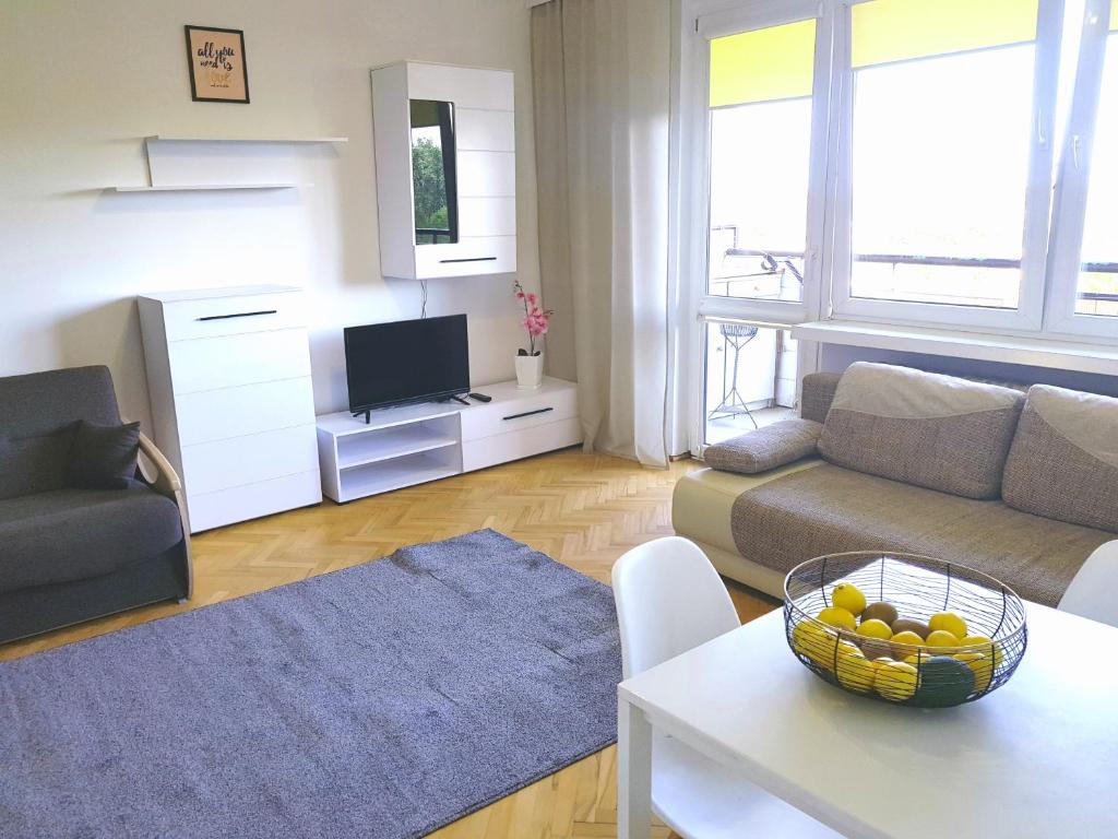 a living room with a couch and a table at Apartament SIELANKA PARK in Łódź