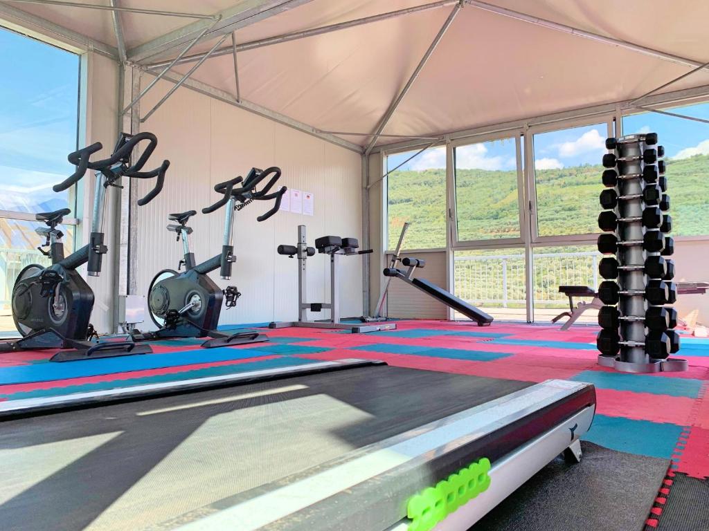 Fitness centrum a/nebo fitness zařízení v ubytování Ambassador Suite Hotel