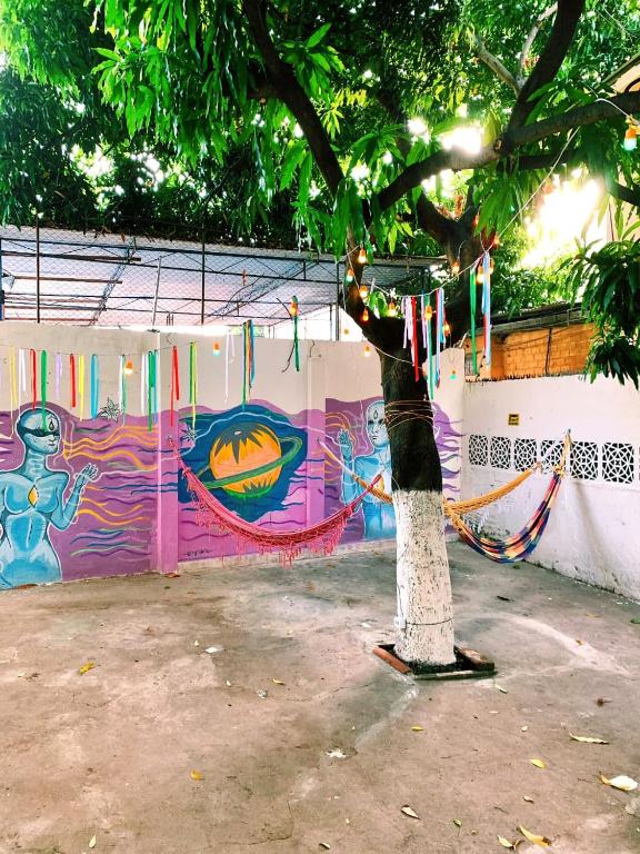 Camping Debaixo do Pé de Manga  Camping Debaixo do Pé de Manga