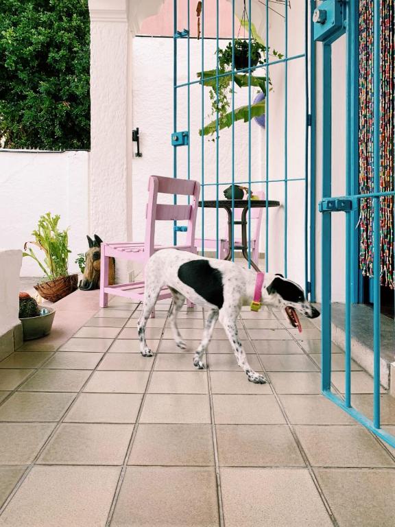 Camping Debaixo do Pé de Manga  Camping Debaixo do Pé de Manga