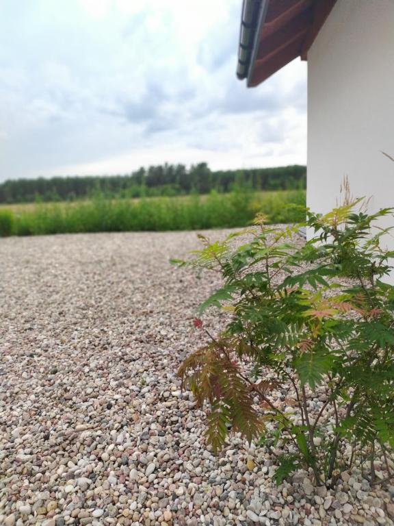 Vonkajšia záhrada v ubytovaní Żurawia Polana