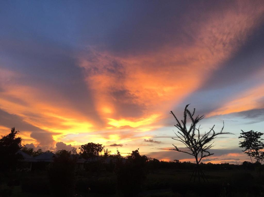 Chapulin Natural Resort - Resim 23