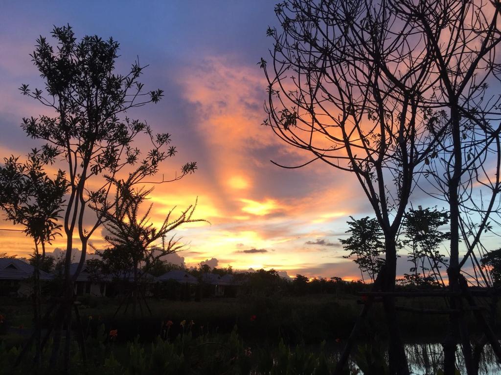 Chapulin Natural Resort - Resim 25