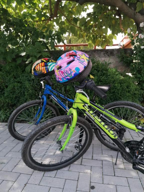 Jízda na kole v ubytování Szentesi Panzió nebo okolí