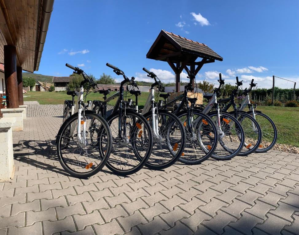 Jazda na bicykli v okolí ubytovania Pillangó Vendégház