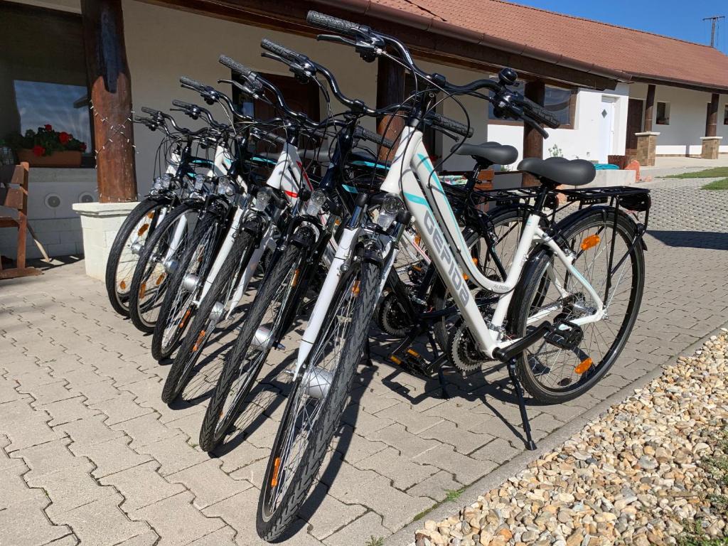 Jazda na bicykli v okolí ubytovania Pillangó Vendégház