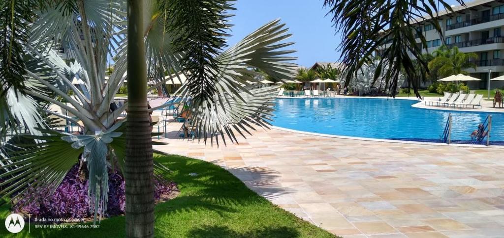 a palm tree next to a swimming pool at Portoparadise - Beach Class Eco life Residence in Porto De Galinhas