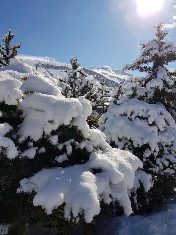 Résidence : Le Crystal Chalet