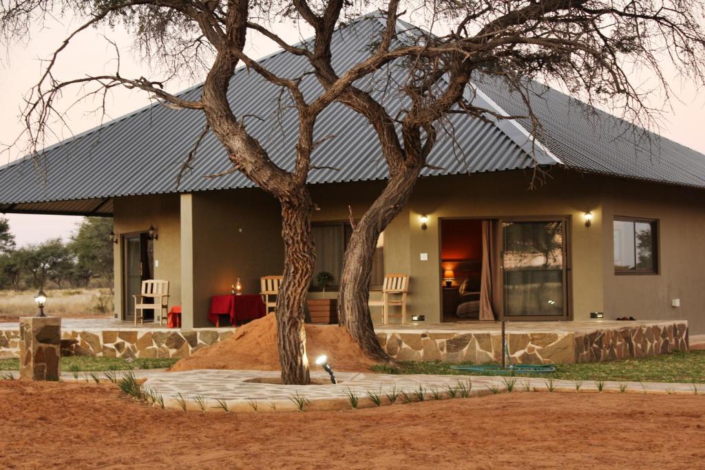 Gobabis的住宿－Africa Awaits Lodge & Safaris，前面有一棵树的房子