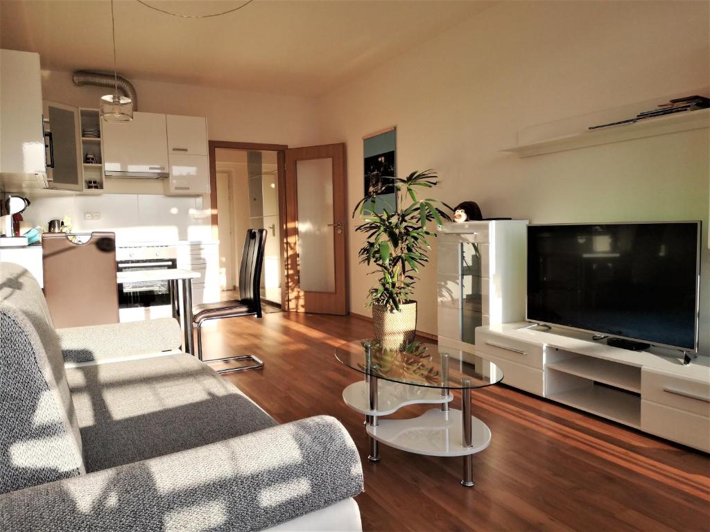 Televízia a/alebo spoločenská miestnosť v ubytovaní New apartment with garage parking