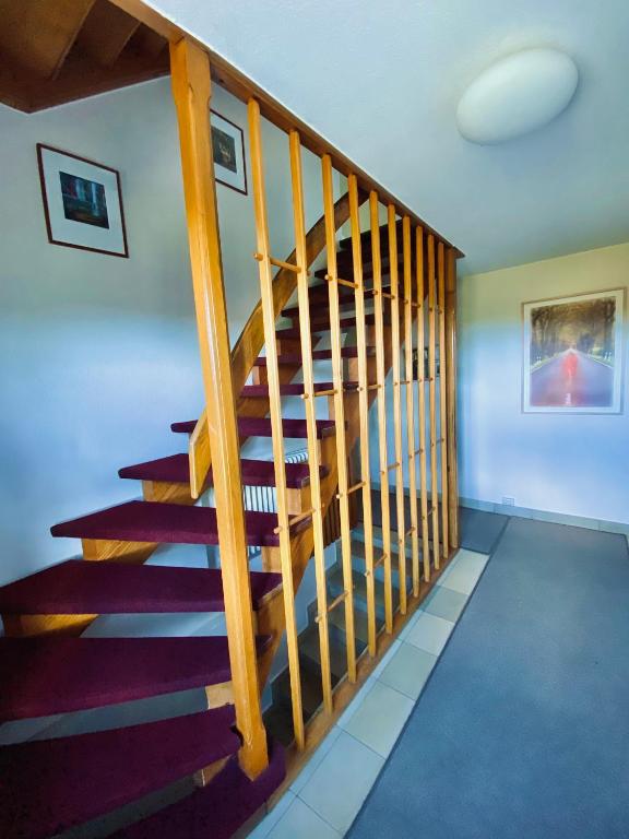 Fotografie z fotogalerie ubytování Pension am Weinberg v destinaci Sasbachwalden