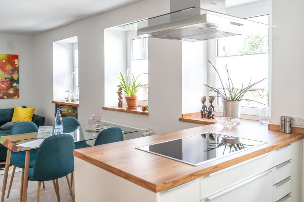 Kuchyň nebo kuchyňský kout v ubytování Moderne Altstadt-Ferienwohnung
