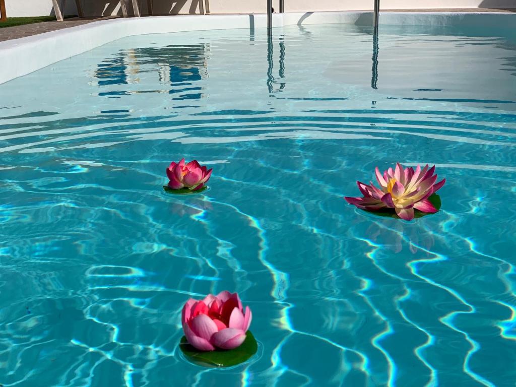 The swimming pool at or close to Pico Partido villa heated pool