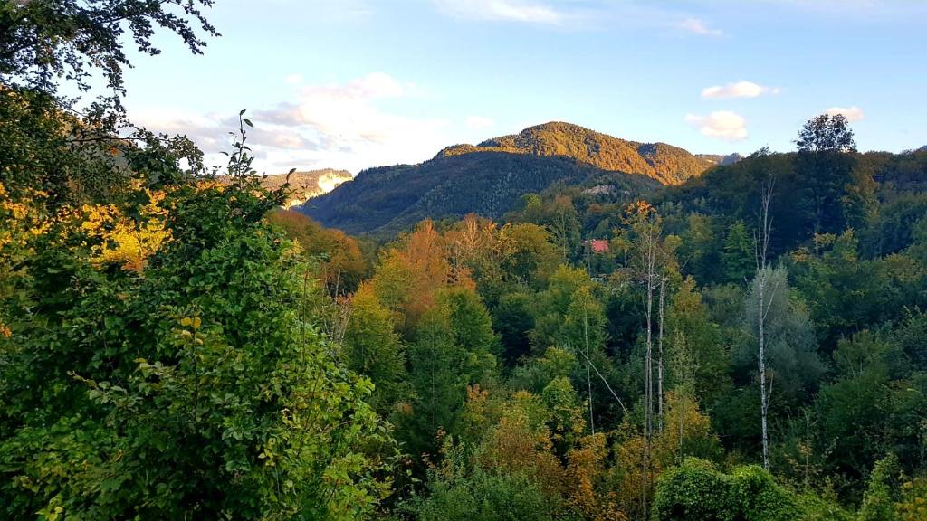 CHILL&SLEEP Bad Ischl - 19