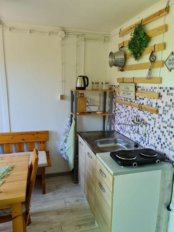 Kuchnia lub aneks kuchenny w obiekcie Het Hongaarse Vissershuisje