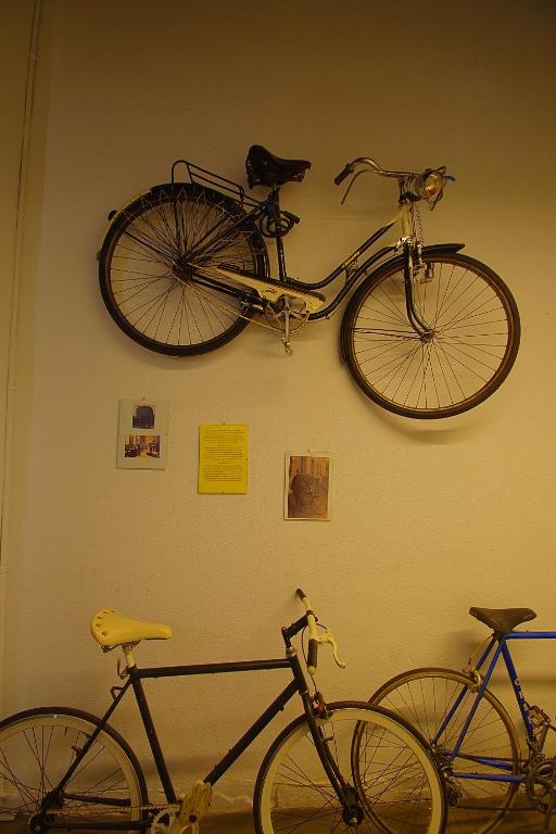 Jízda na kole v ubytování All Iron Hostel nebo okolí