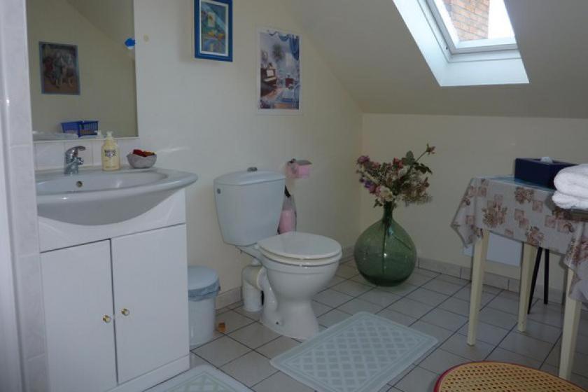 a bathroom with a toilet and a sink at Le Buisson in Montlouis-sur-Loire
