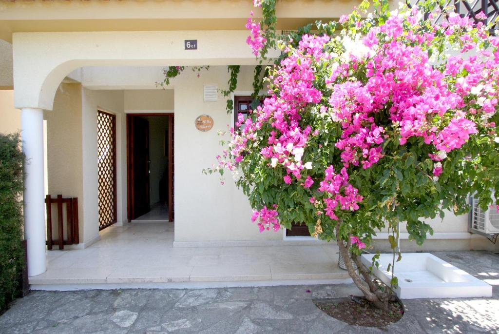 a tree with pink flowers in front of a building at Maria Villa in Pissouri