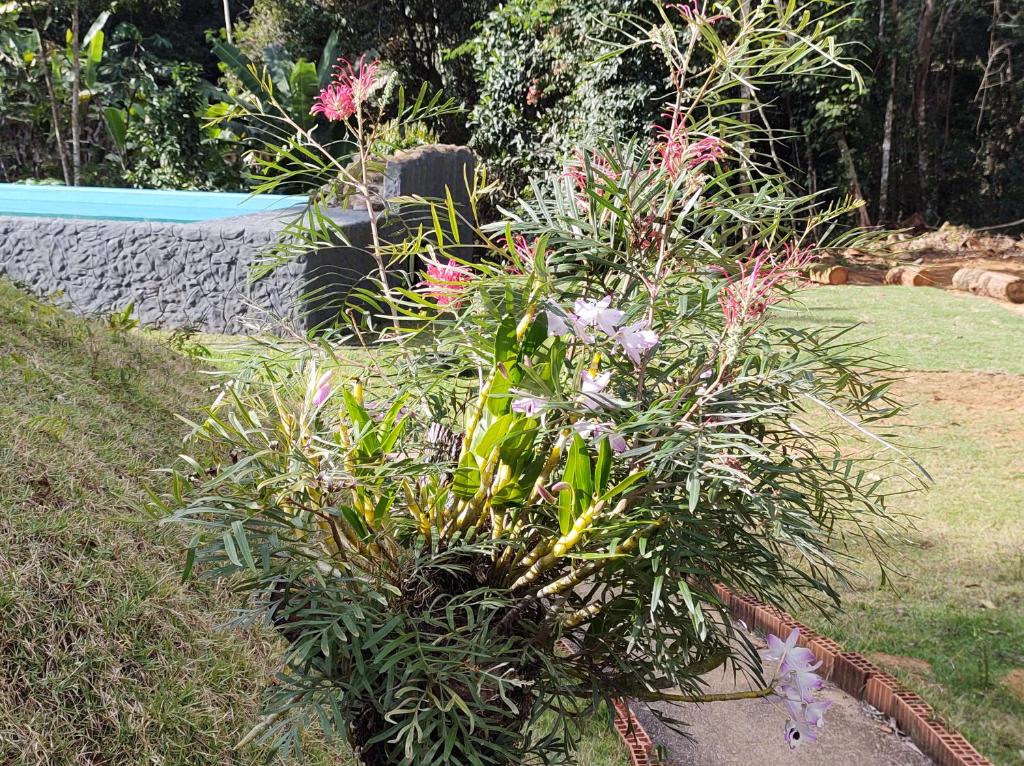  Sítio Floresta - O paraíso existe sim!