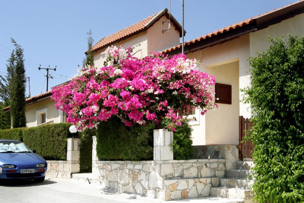 a house with pink flowers on the side of it at Hilltop Chalet in Pissouri